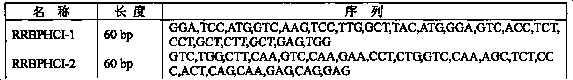 Family shuffling technology system for modifying multiple genes of dihydroxyl dioxygenase