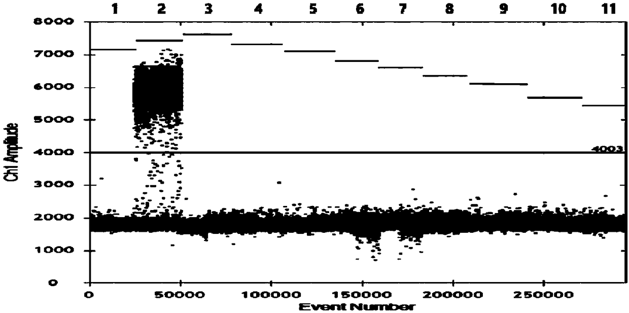 Primers, probe, kit and method for detecting European virus of PRRSV based on digital PCR technology