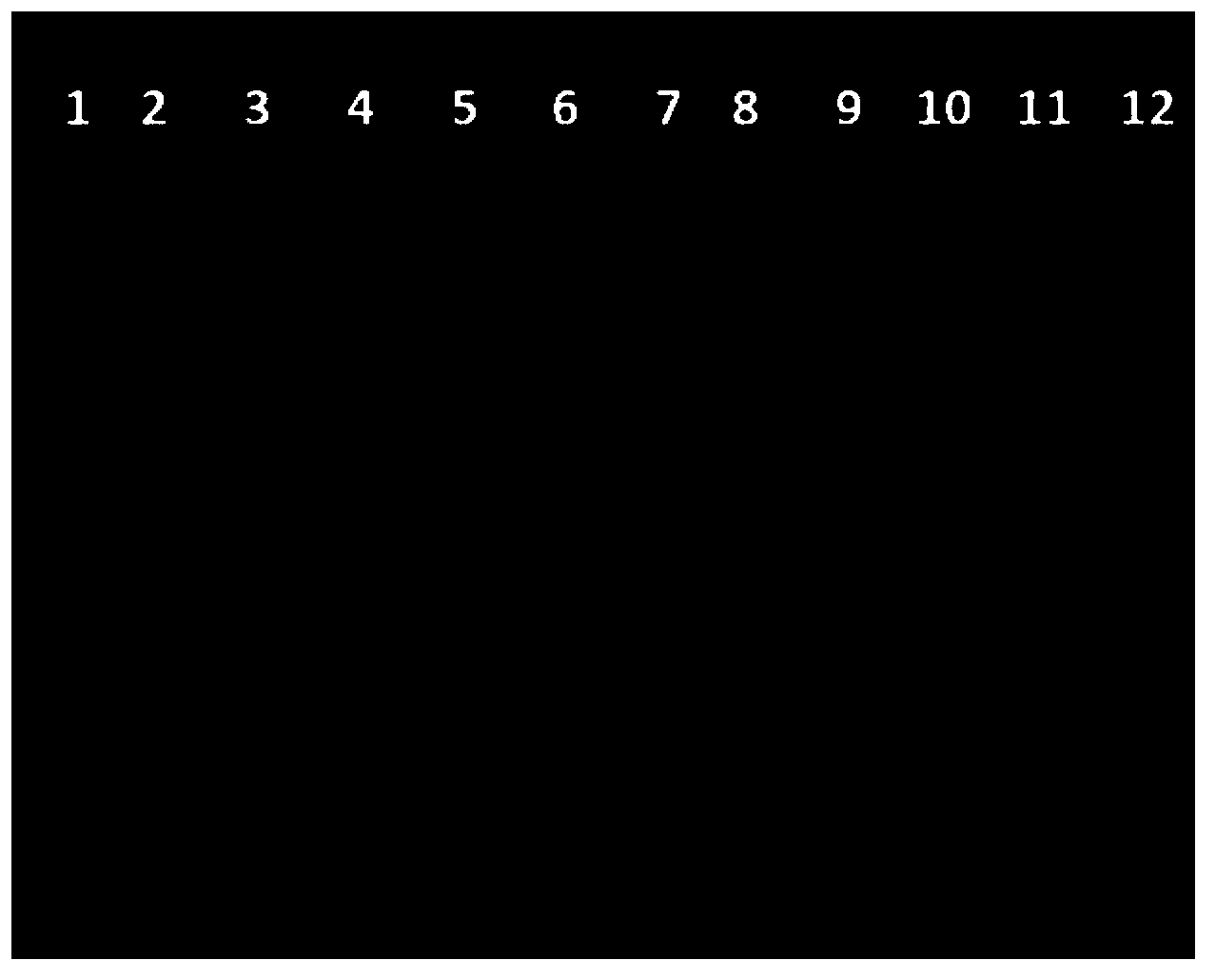 Method for room temperature amplification of DNA