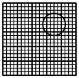 Sperm-motility grading counting method