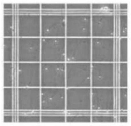 Sperm-motility grading counting method