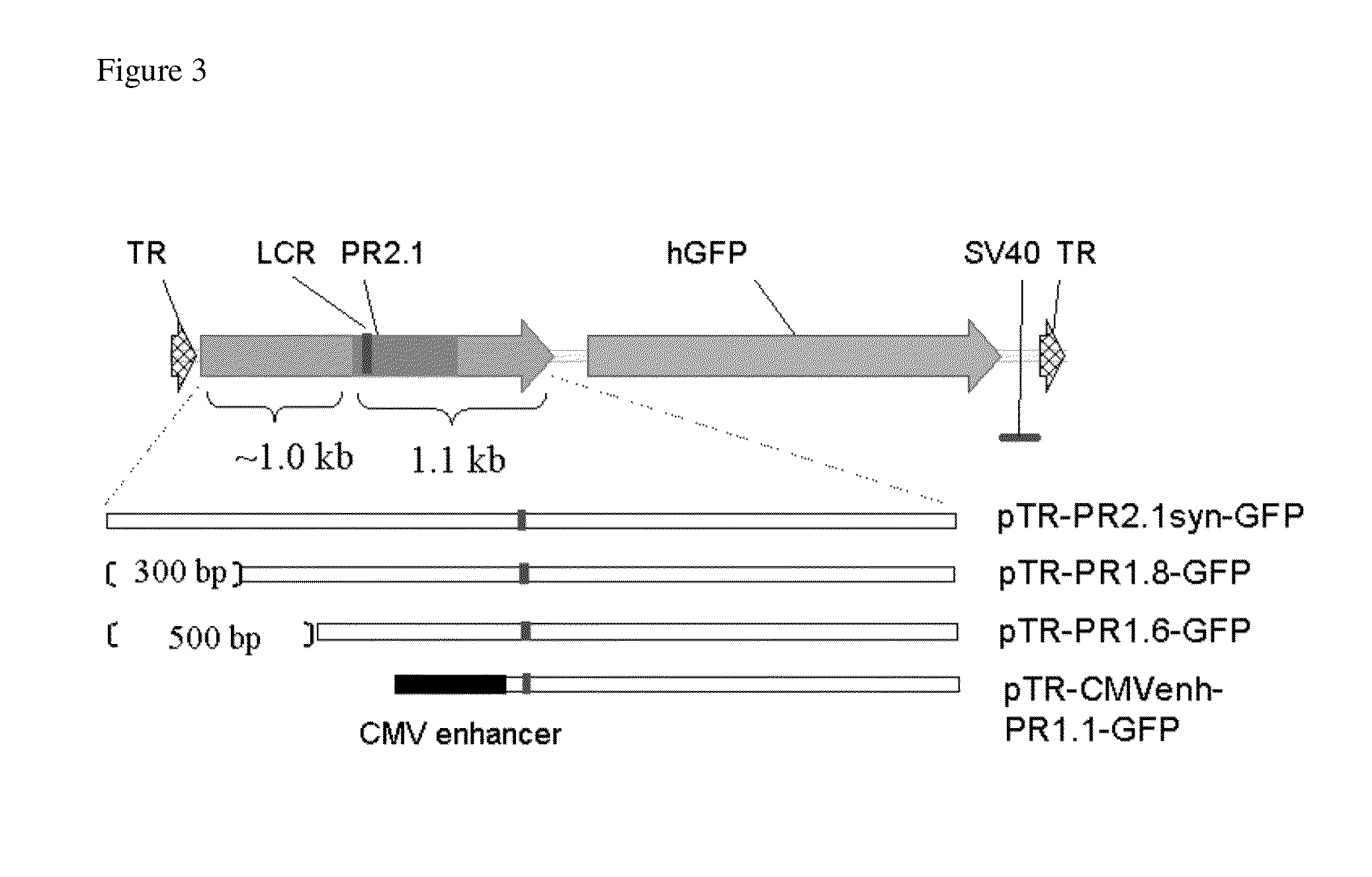 Promoters, expression cassettes, vectors, kits, and methods for the treatment of achromatopsia and other diseases