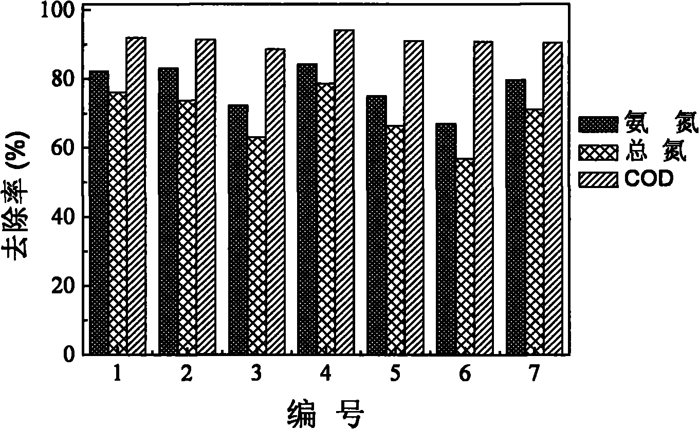 Method for removing carbon and nitrogen pollutants in waste water in one step