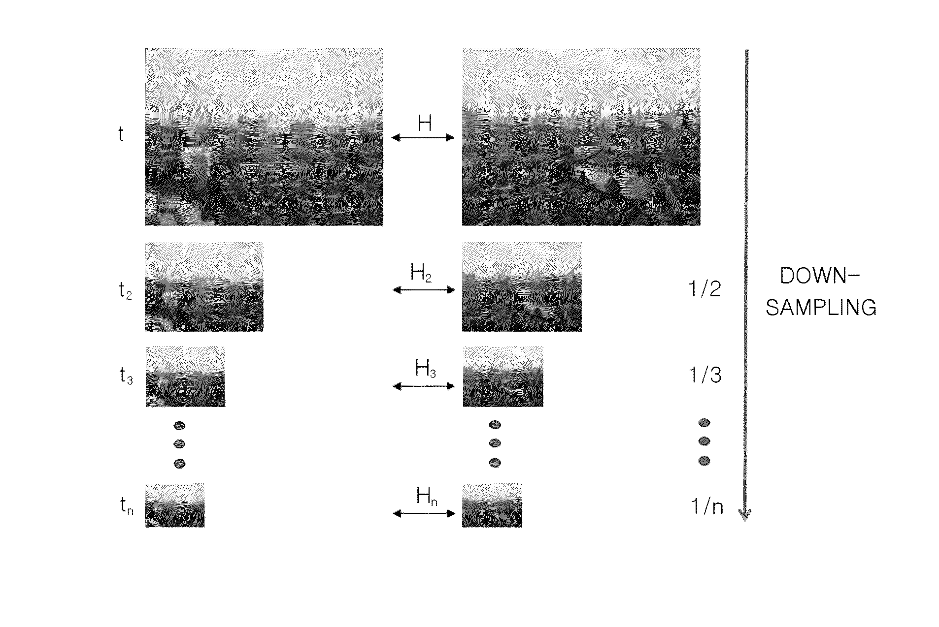 Homography estimation apparatus and method