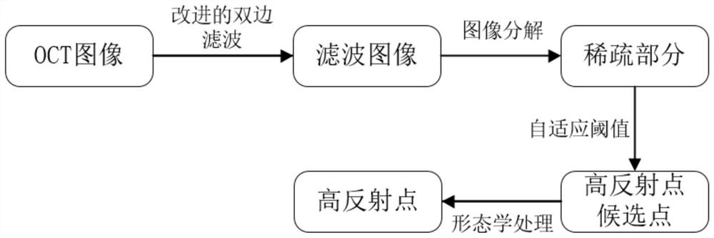 Segmentation method and realization system of ophthalmology sd-oct high reflection point based on image decomposition