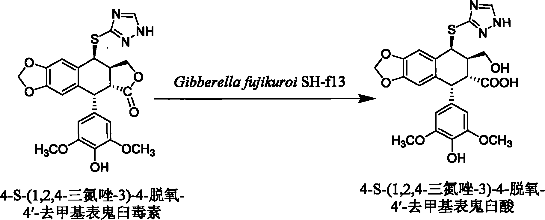 Sulfur-substituted podophyllin derivatives and their biotransformation and separation and purification methods