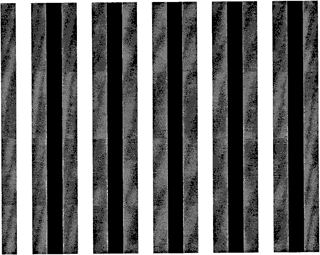 Optical three-dimensional measuring method based on phase coding technology