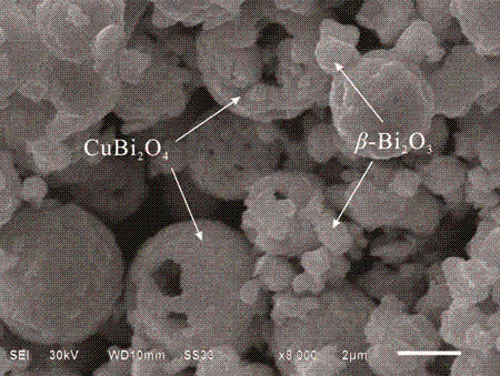 Visible light responsive composite photocatalyst, preparation method and applications thereof