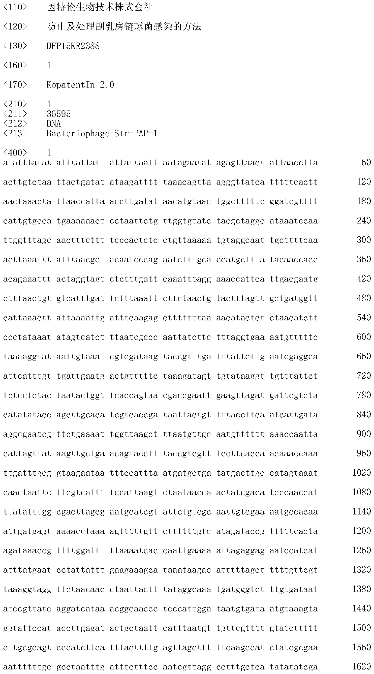 A bacteriophage str-pap-1 and a composition for preventing and treating Streptococcus parauberis infection using the phage as an active ingredient