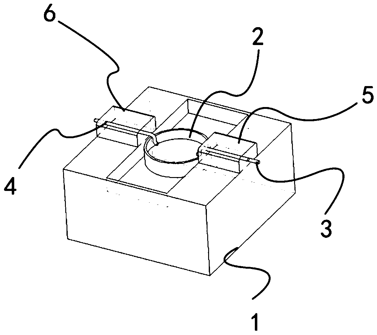 Semi-in-vivo animal experiment blood compatibility detecting system and application thereof