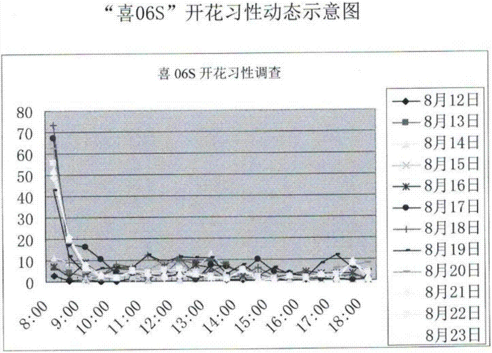 Method for selecting and breeding high-quality photo-thermo-sensitive two-line sterile lines by induced mutation of sterile lines