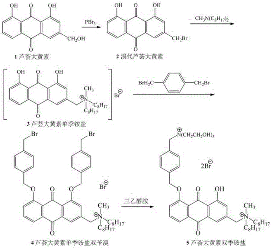 Aloe-emodin biquaternary ammonium salt with water solubility and anticancer activity and preparation thereof