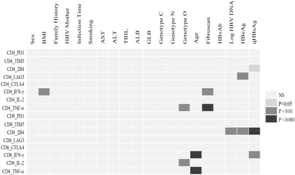 Construction method for applicability evaluation model of immune state of T lymphocyte of hepatic diseases of hepatitis B