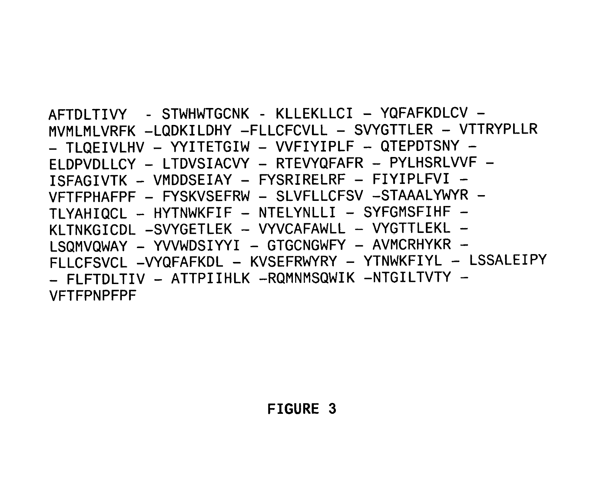 HPV polyepitope constructs and uses thereof