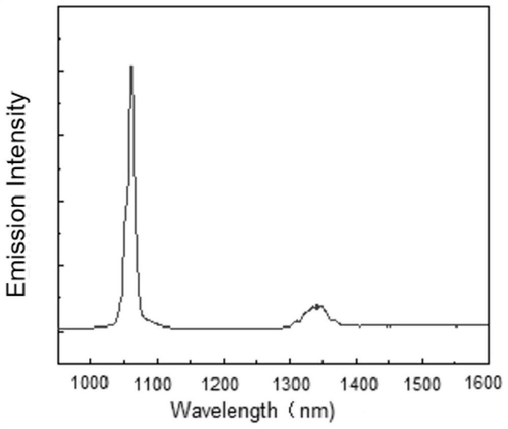 Organometallic chelate, as well as preparation method and application thereof, and probe