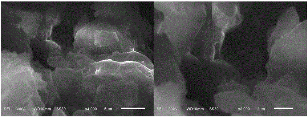 Preparation method of alkali lignin-based adsorbing material modified by sodium glutamate and application in removal of wastewater dyes