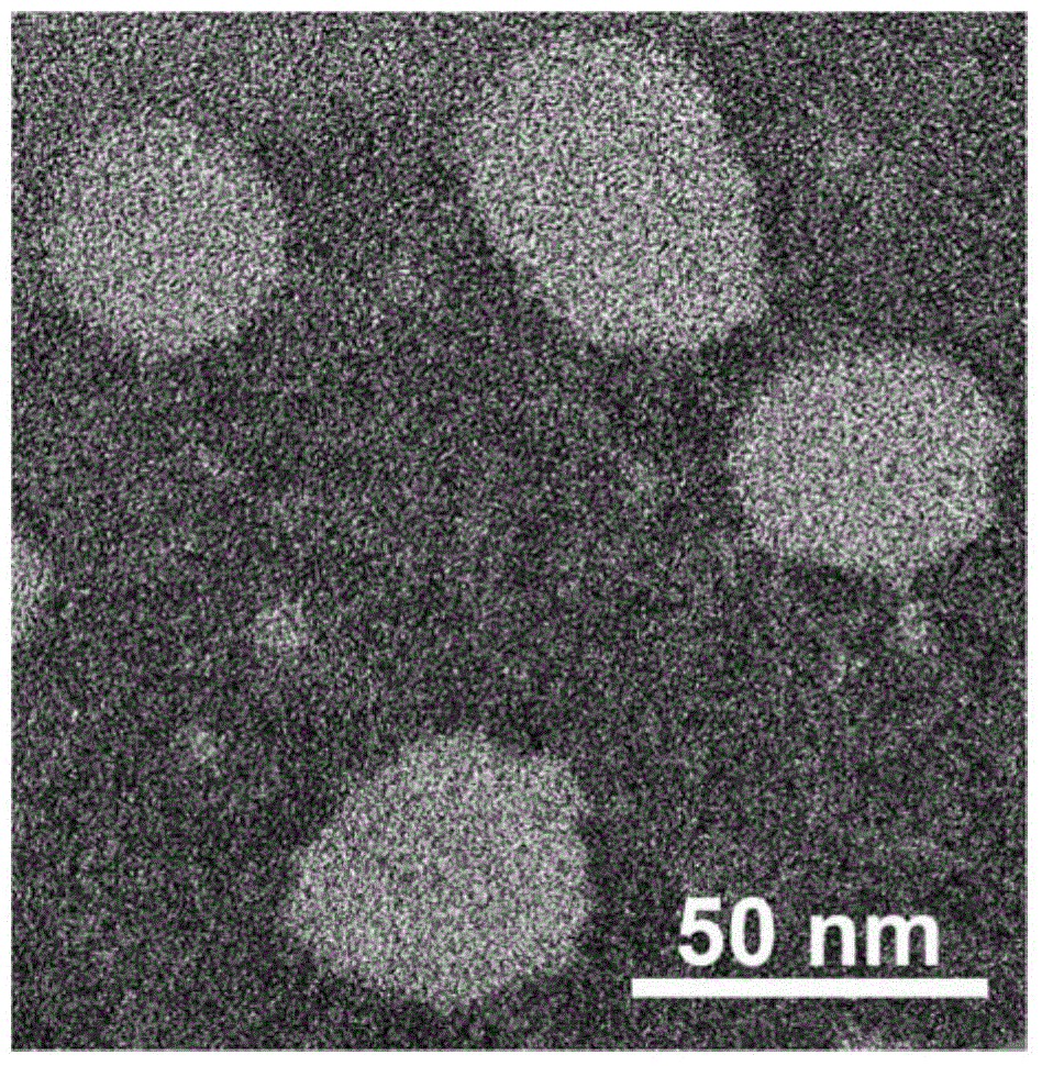 Thermo-sensitive liposome as well as preparation method and application thereof