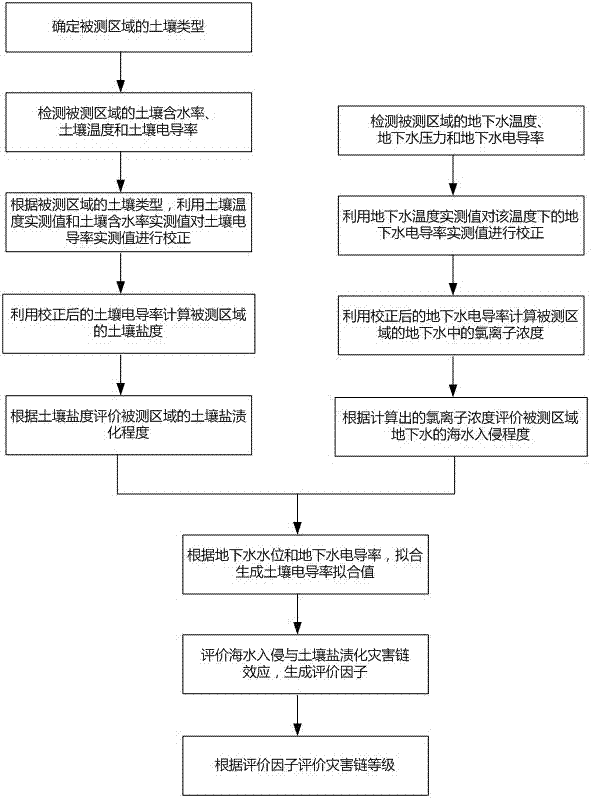 Monitoring and evaluation method for seawater intrusion and soil salinization