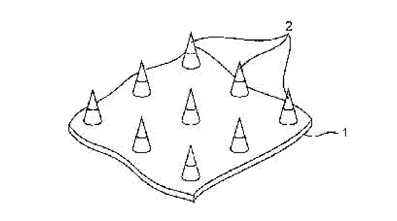 Microneedle assembly formulation for skin treatment