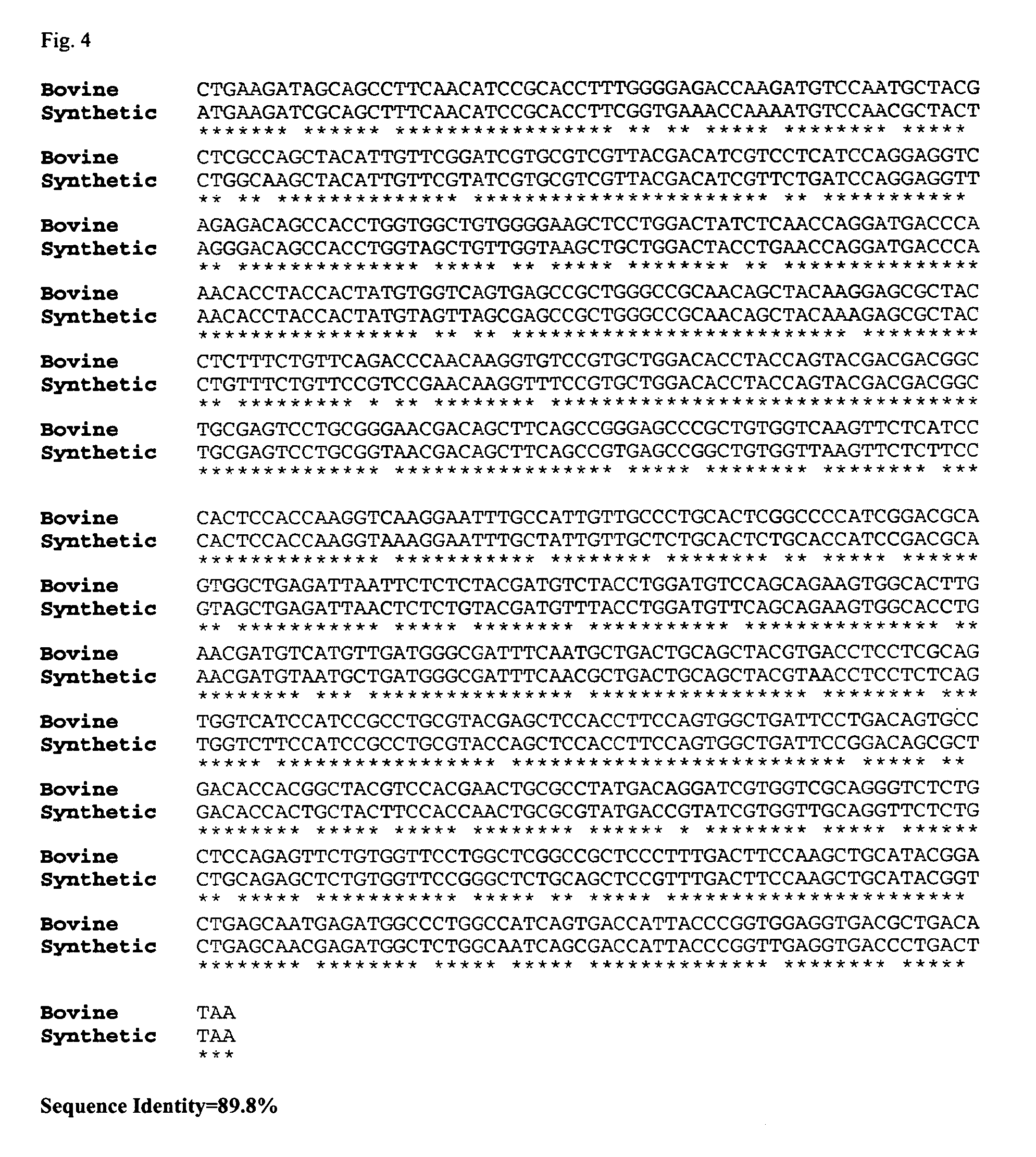 Compositions and methods of using a synthetic dnase i