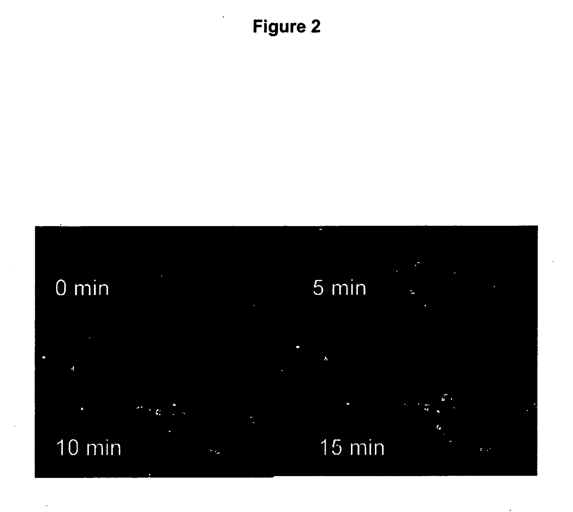 Nonviral vectors for delivering polynucleotides