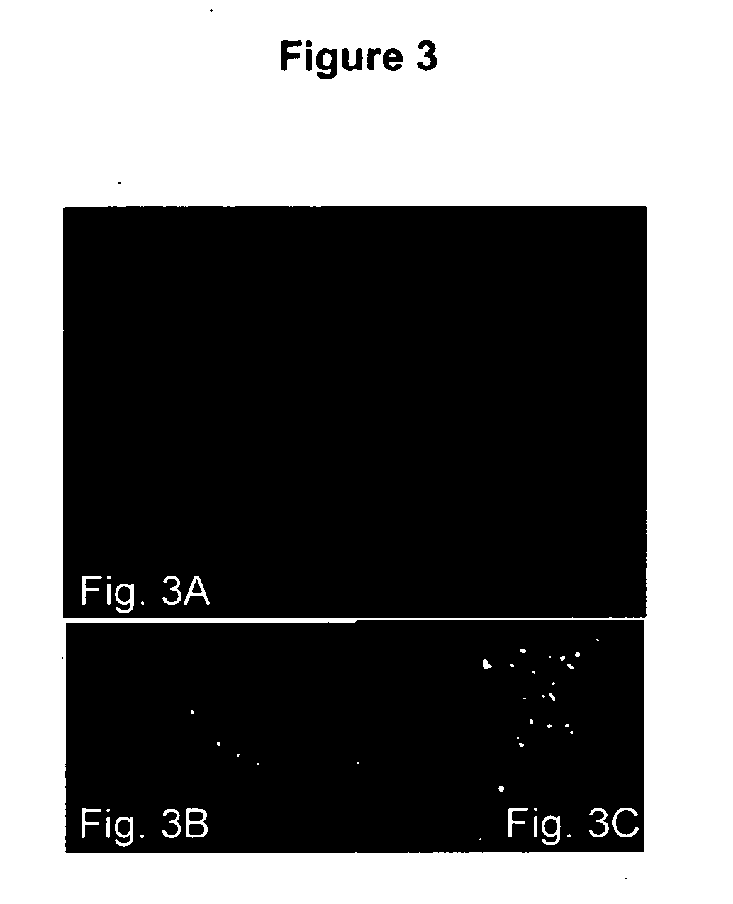 Nonviral vectors for delivering polynucleotides