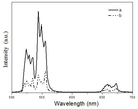 A kind of magnesium erbium ytterbium tridoped sodium niobate and its preparation method and application