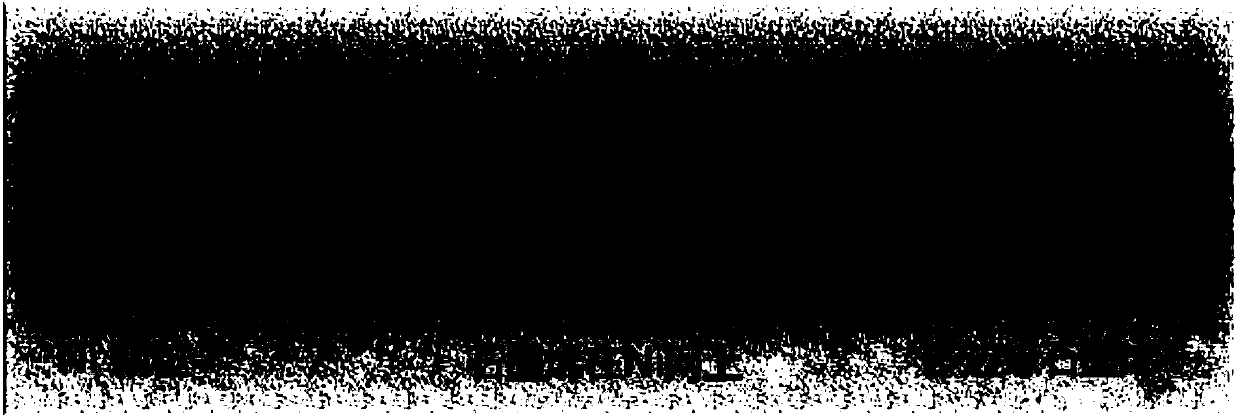 Preparation method of multi-edge graphene and prepared aluminum ion battery