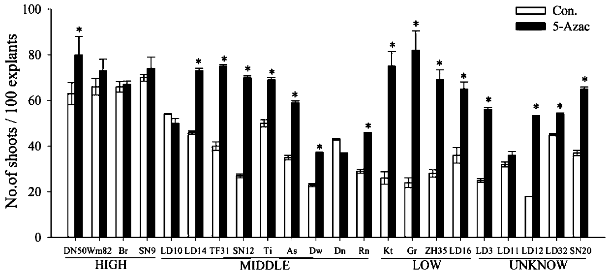 Method for improving soybean resistant cluster bud induction efficiency by using 5-azacytidine