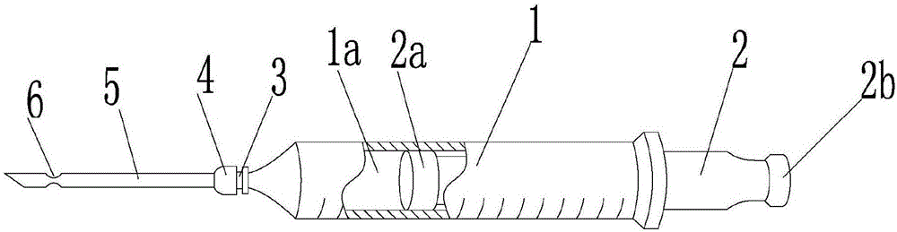 Method for making stuffed animal specimen of hairless vertebrate and injector adopted by same