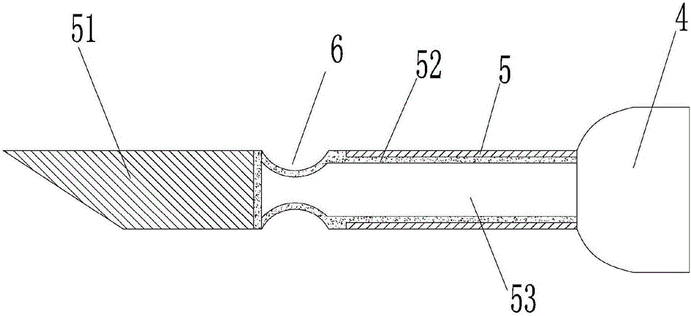 Method for making stuffed animal specimen of hairless vertebrate and injector adopted by same