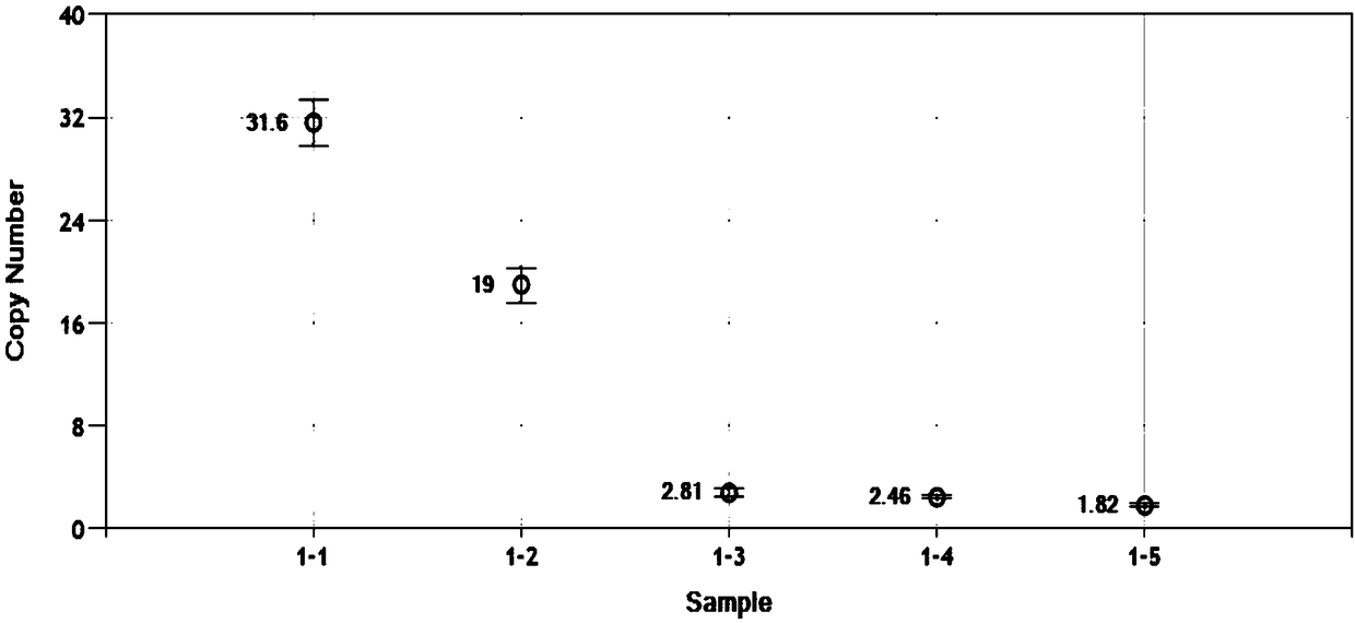 Primer and probe for detecting c-MET gene amplification through digital PCR technology and detection method thereof