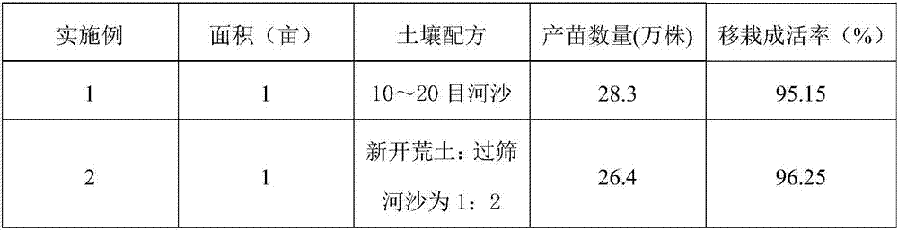 Seedling growing method of seeds of Lingxianteng herba clematidis