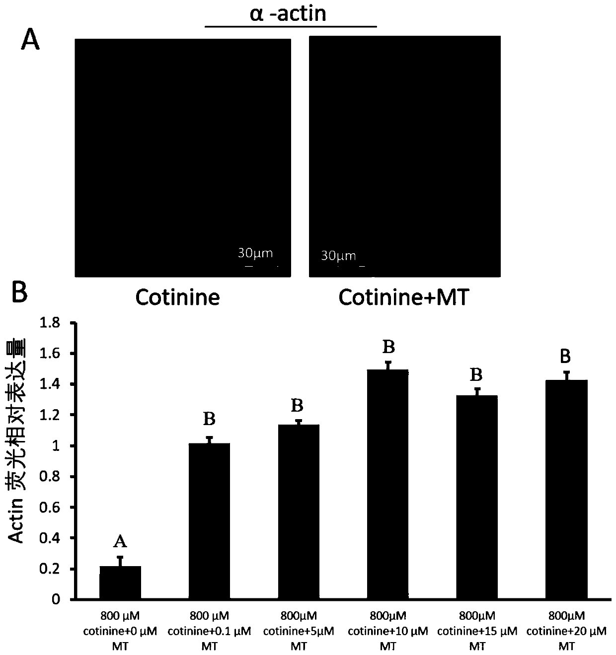 Application of melatonin in preparation of medicine for improving oocyte quality