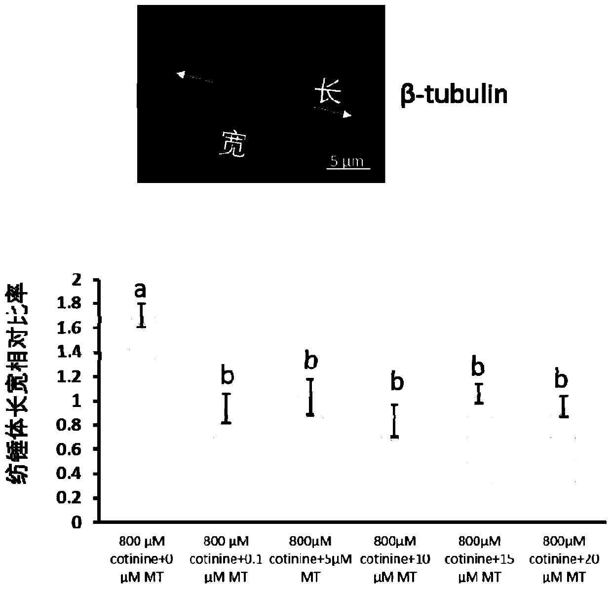 Application of melatonin in preparation of medicine for improving oocyte quality