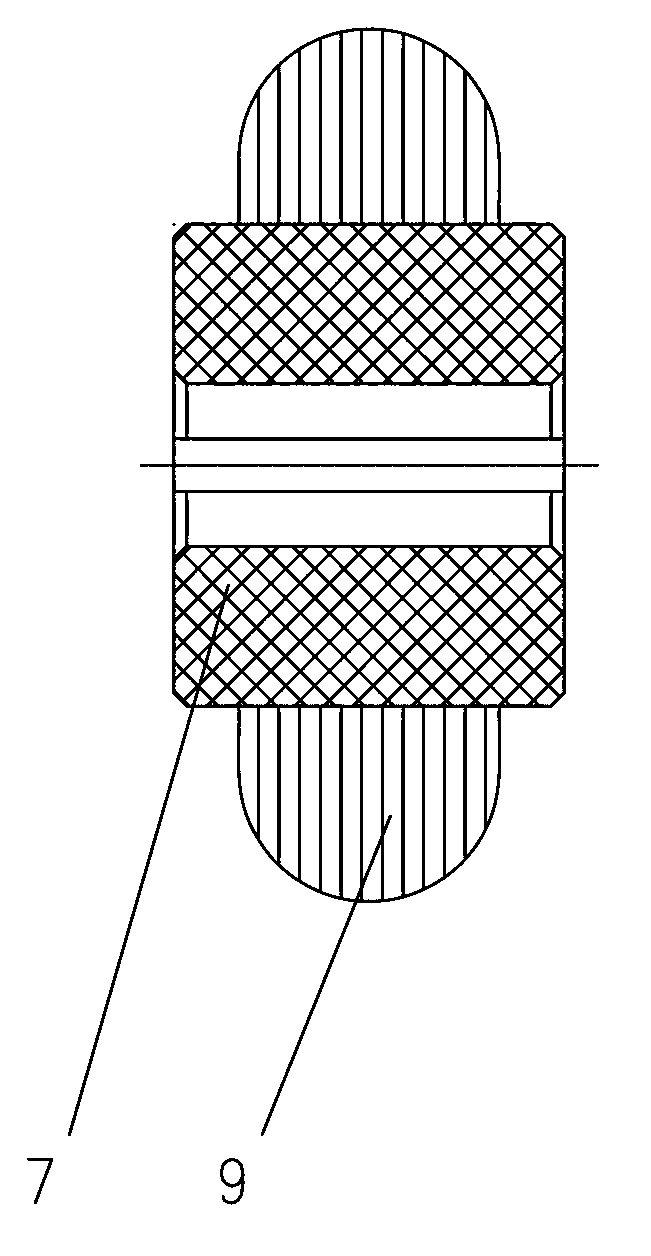 Film removing machine of fish bellies