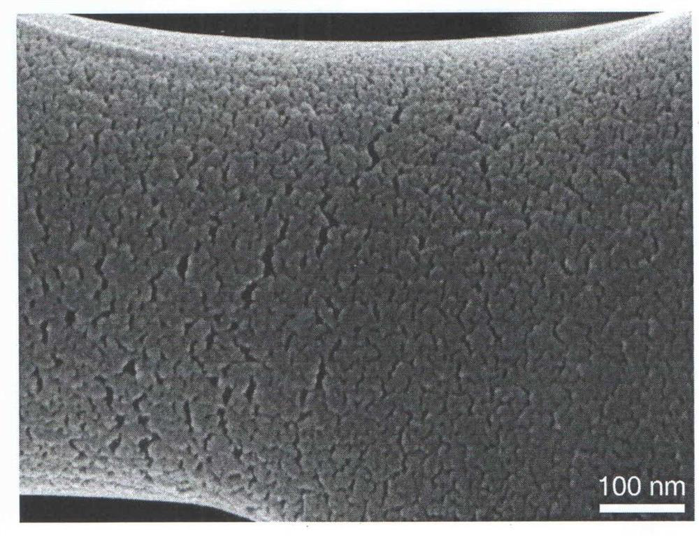 Preparation method and application of a layered Steiner network structure fiber membrane