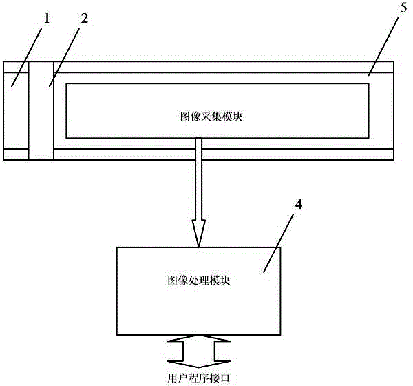 Fluorescence detection device for electronic colposcope