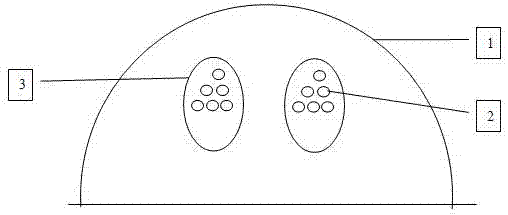 Tent capable of reducing wind influence and sun-shading shed and rainshed capable of ventilating