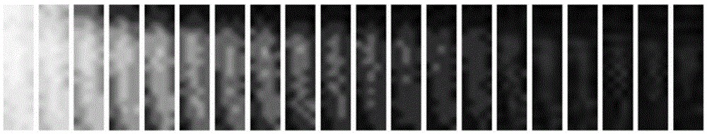 Method and device for testing fluorescence life time