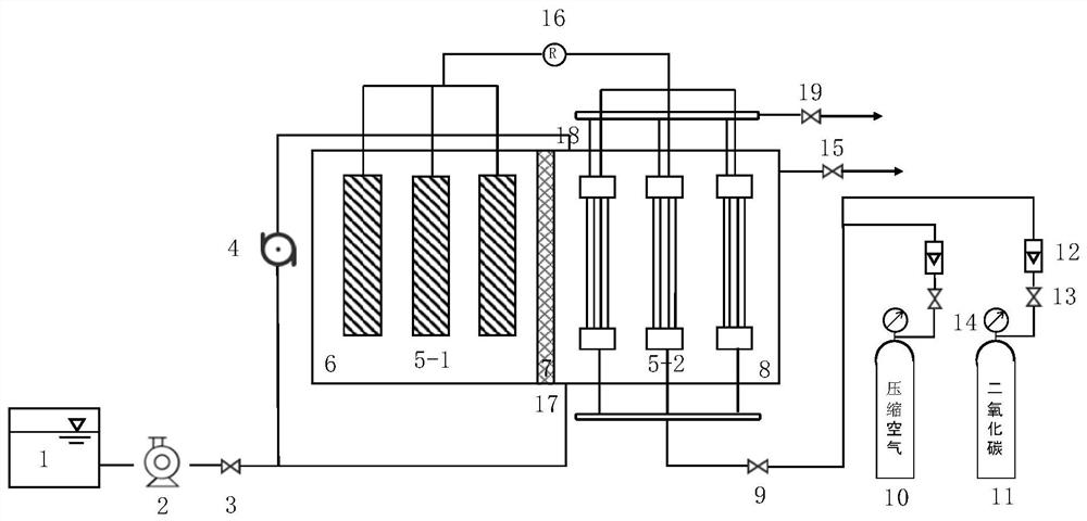 Electrochemical performance enhanced bacteria-algae membrane aeration bio-membrane reactor system and application thereof