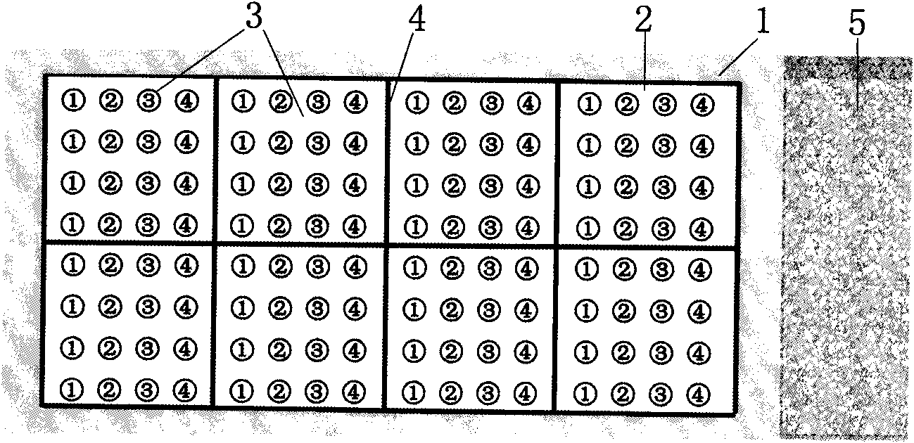 Fish lymphocystis disease virus (LCDV) immunity detection chip and preparation method and application thereof