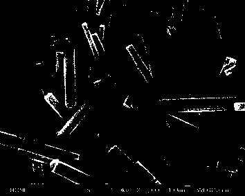 A kind of tungsten bronze with substituted heteroatoms in tungsten and oxygen lattice sites, its preparation method and application