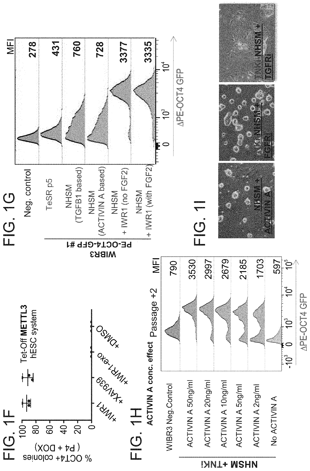 Culture media for pluripotent stem cells