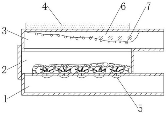 A kind of pneumatic environment-friendly coal particle drying equipment