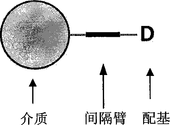 Chromatogram medium for immunoglobulin class protein separation purification and preparation method thereof