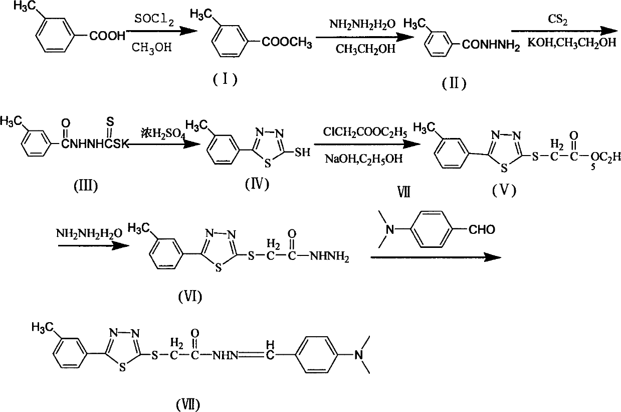 Disubstituted thiadiazole compound, preparation method and application thereof