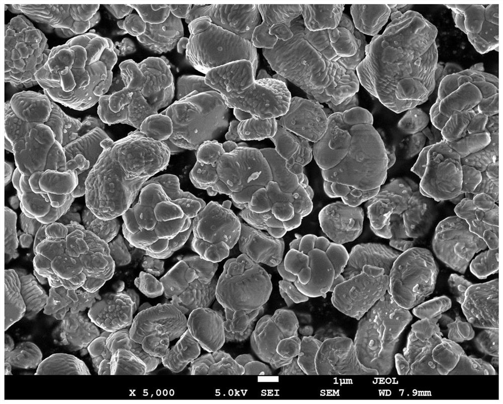 Monocrystal ternary positive electrode material, preparation method and battery