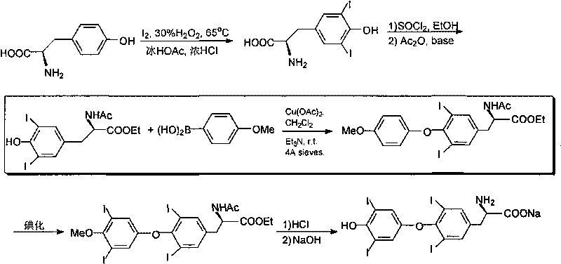 O-p-methoxyphenyl-N,N-ethyl dibenzyl-tyrosine and synthesizing method