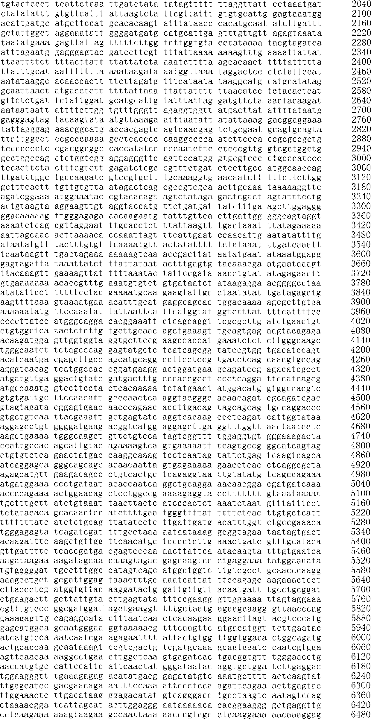 Rice blast resistance gene Pi1 and application thereof